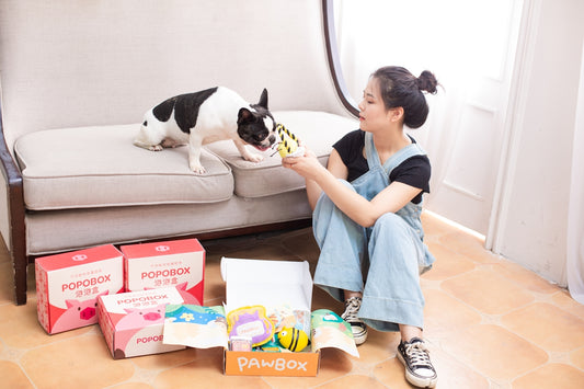 Woman and dog enjoying toys from a pet box.