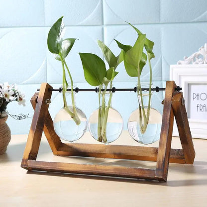 Glass Vase Tabletop Terrarium Hydroponics Plant Vases naiveniche