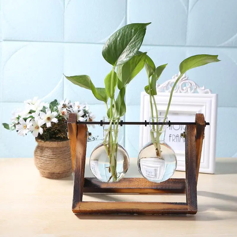 Glass Vase Tabletop Terrarium Hydroponics Plant Vases naiveniche