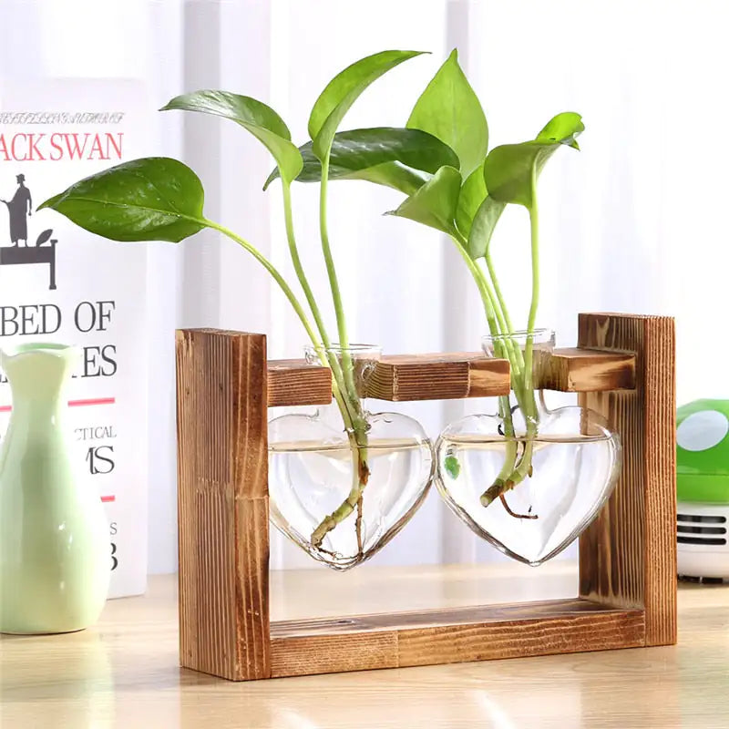 Glass Vase Tabletop Terrarium Hydroponics Plant Vases naiveniche