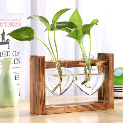Glass Vase Tabletop Terrarium Hydroponics Plant Vases naiveniche