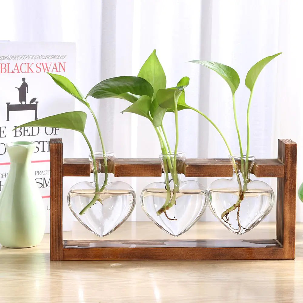 Glass Vase Tabletop Terrarium Hydroponics Plant Vases naiveniche