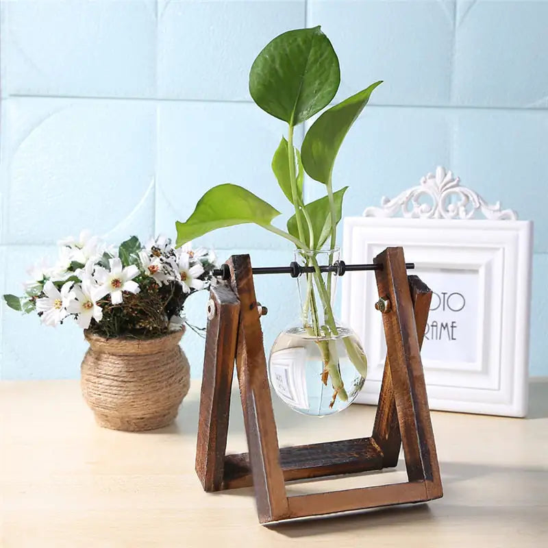 Glass Vase Tabletop Terrarium Hydroponics Plant Vases naiveniche
