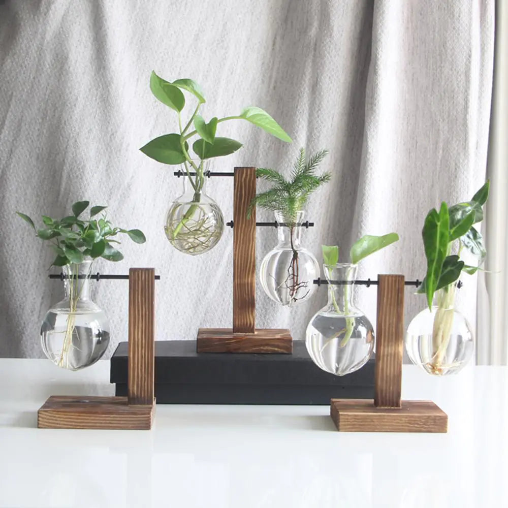 Glass Vase Tabletop Terrarium Hydroponics Plant Vases naiveniche