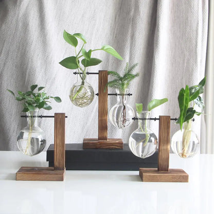 Glass Vase Tabletop Terrarium Hydroponics Plant Vases naiveniche