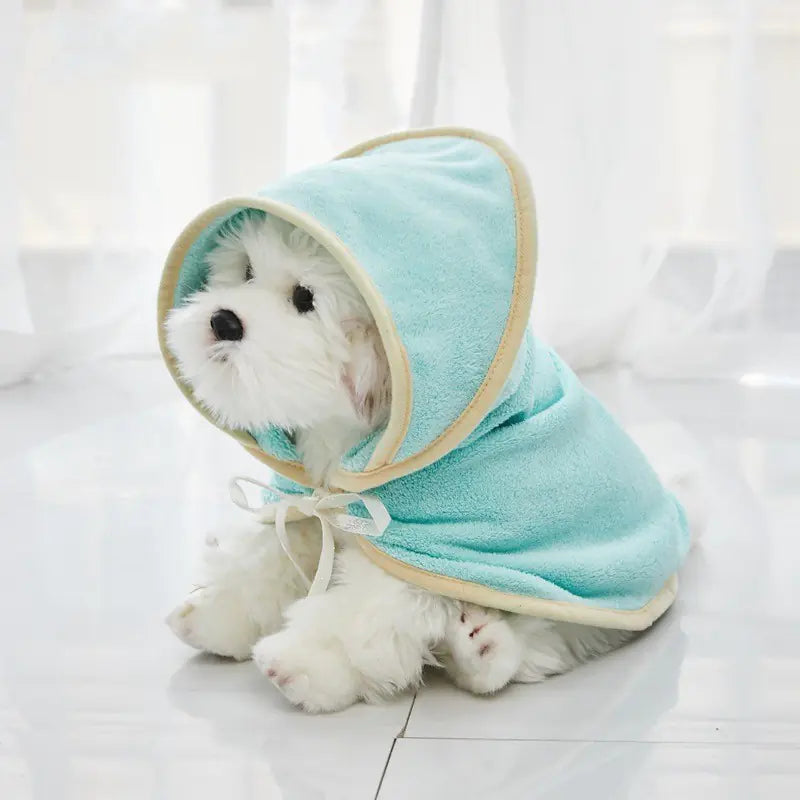 Adorable white dog wearing a cozy turquoise microfiber bathrobe, drying quickly after a bath or grooming session