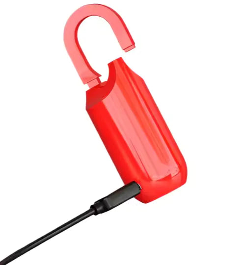 USB Charging Bag with Fingerprint Lock naiveniche