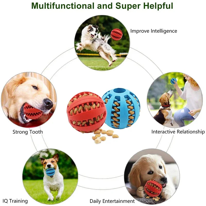 Dog Ball Toys for Small Dogs Interactive Elasticity Puppy Chew Toy Tooth Cleaning Rubber Food Ball Toy Pet Stuff Accessories - naiveniche