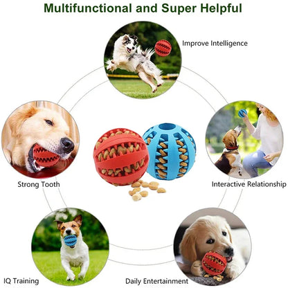 Dog Ball Toys for Small Dogs Interactive Elasticity Puppy Chew Toy Tooth Cleaning Rubber Food Ball Toy Pet Stuff Accessories - naiveniche
