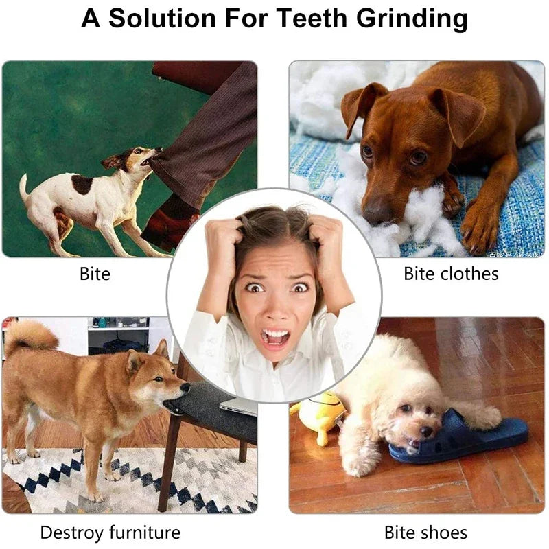 Dog Ball Toys for Small Dogs Interactive Elasticity Puppy Chew Toy Tooth Cleaning Rubber Food Ball Toy Pet Stuff Accessories - naiveniche