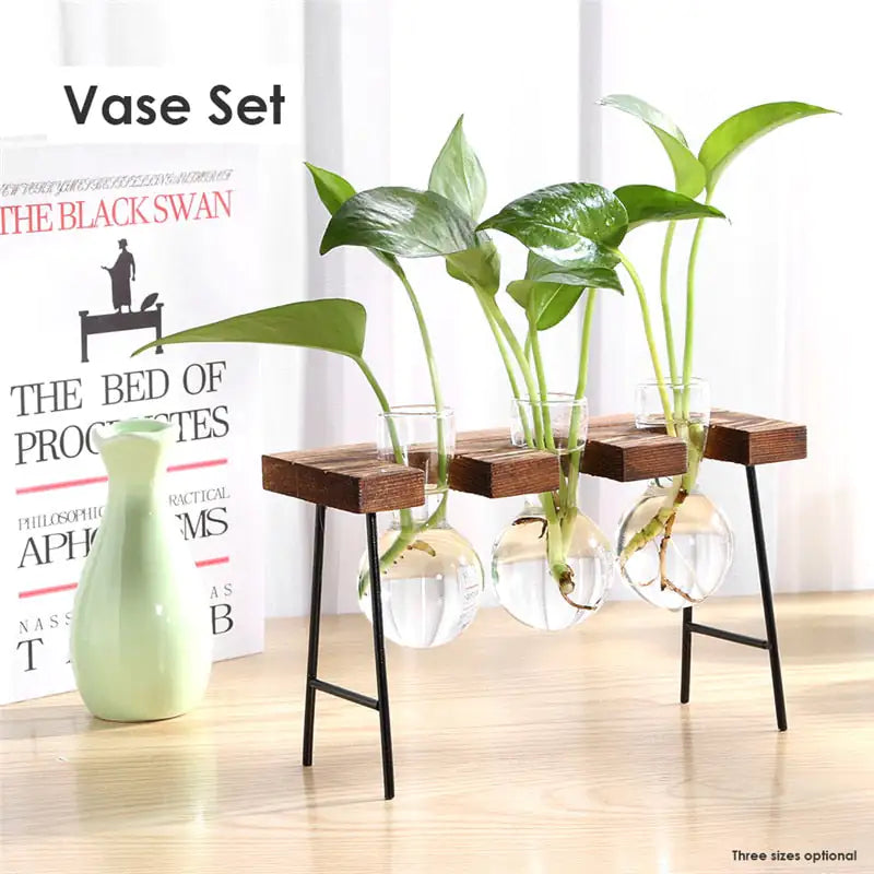 Glass Vase Tabletop Terrarium Hydroponics Plant Vases naiveniche