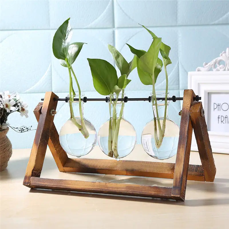 Glass Vase Tabletop Terrarium Hydroponics Plant Vases naiveniche